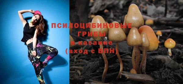 прущие крисы Вязники
